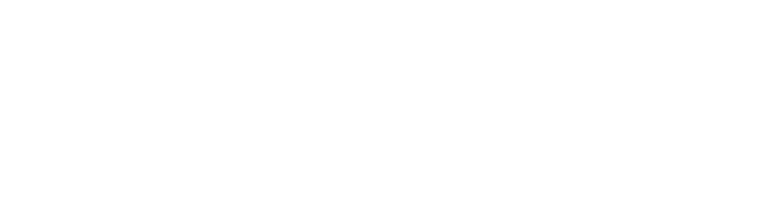 Cermit.it